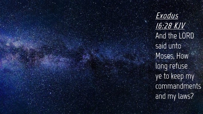 Picture 04 - Exodus 16:28 KJV Desktop Wallpaper - And the LORD said unto Moses, How long refuse ye - Desktop Bible Verse Wallpaper