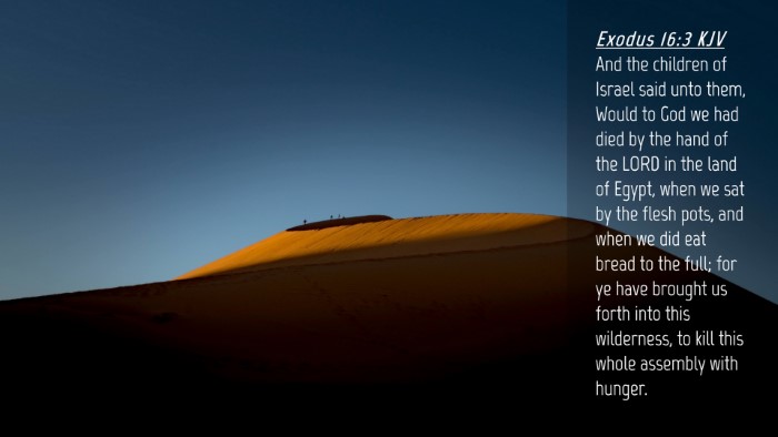 Picture 04 - Exodus 16:3 KJV Desktop Wallpaper - And the children of Israel said unto them, Would - Desktop Bible Verse Wallpaper