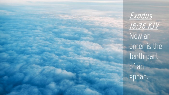Picture 04 - Exodus 16:36 KJV Desktop Wallpaper - Now an omer is the tenth part of an - Desktop Bible Verse Wallpaper