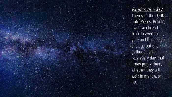 Picture 04 - Exodus 16:4 KJV Desktop Wallpaper - Then said the LORD unto Moses, Behold, I will - Desktop Bible Verse Wallpaper