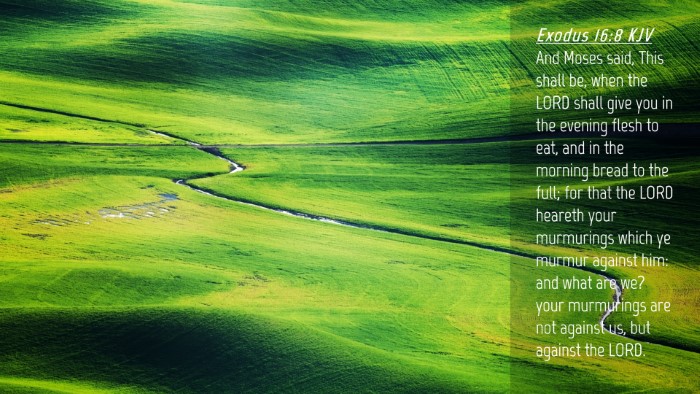 Picture 04 - Exodus 16:8 KJV Desktop Wallpaper - And Moses said, This shall be, when the LORD - Desktop Bible Verse Wallpaper