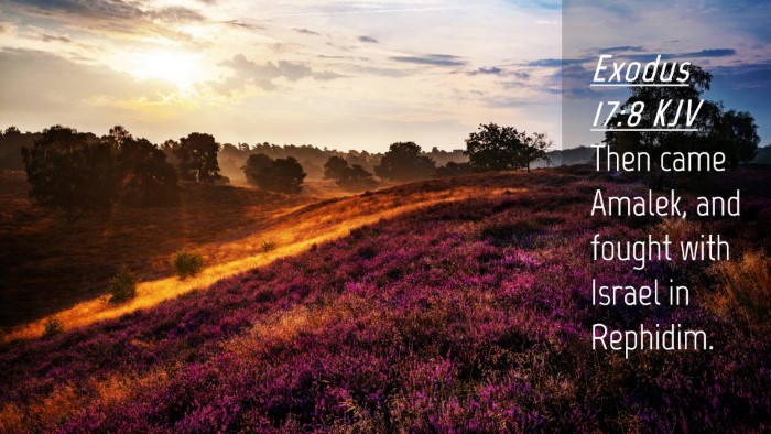 Picture 04 - Exodus 17:8 KJV Desktop Wallpaper - Then came Amalek, and fought with Israel in - Desktop Bible Verse Wallpaper