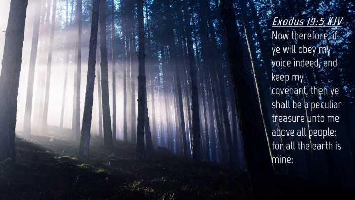 Picture 04 - Exodus 19:5 KJV Desktop Wallpaper - Now therefore, if ye will obey my voice indeed, - Desktop Bible Verse Wallpaper