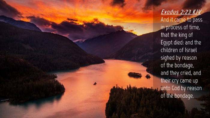 Picture 04 - Exodus 2:23 KJV Desktop Wallpaper - And it came to pass in process of time, that the - Desktop Bible Verse Wallpaper