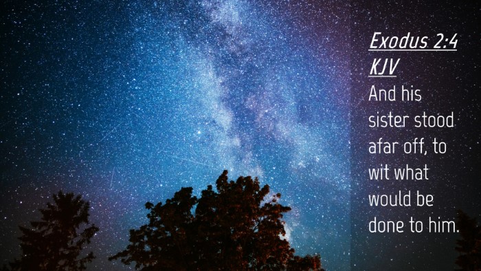 Picture 04 - Exodus 2:4 KJV Desktop Wallpaper - And his sister stood afar off, to wit what would - Desktop Bible Verse Wallpaper