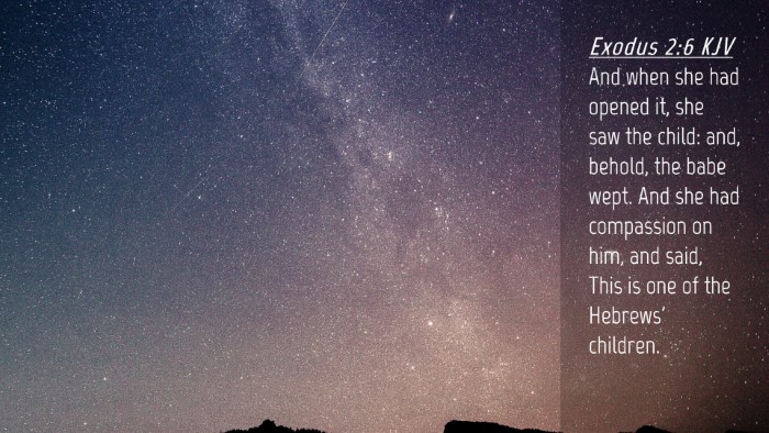 Picture 04 - Exodus 2:6 KJV Desktop Wallpaper - And when she had opened it, she saw the child: - Desktop Bible Verse Wallpaper
