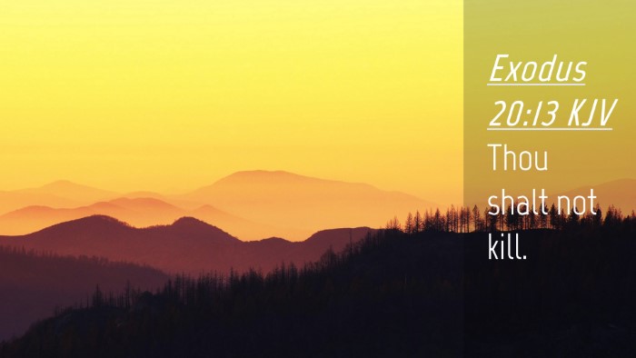 Picture 04 - Exodus 20:13 KJV Desktop Wallpaper - Thou shalt not - Desktop Bible Verse Wallpaper