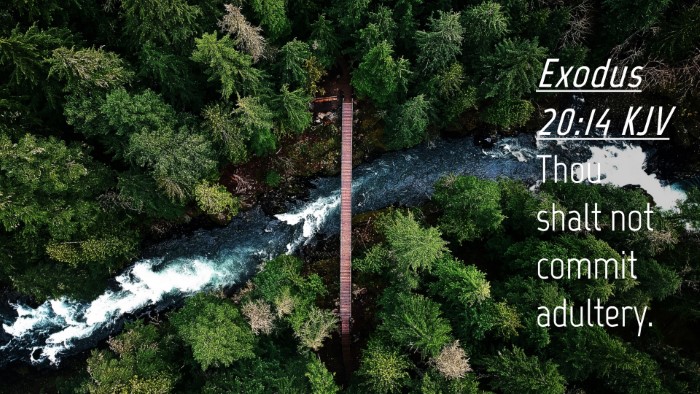 Picture 04 - Exodus 20:14 KJV Desktop Wallpaper - Thou shalt not commit - Desktop Bible Verse Wallpaper
