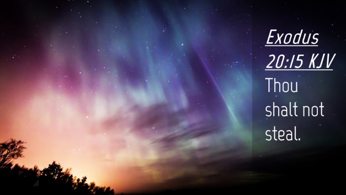 Picture 04 - Exodus 20:15 KJV Desktop Wallpaper - Thou shalt not - Desktop Bible Verse Wallpaper