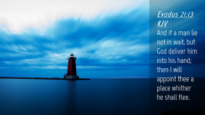 Picture 04 - Exodus 21:13 KJV Desktop Wallpaper - And if a man lie not in wait, but God deliver him - Desktop Bible Verse Wallpaper