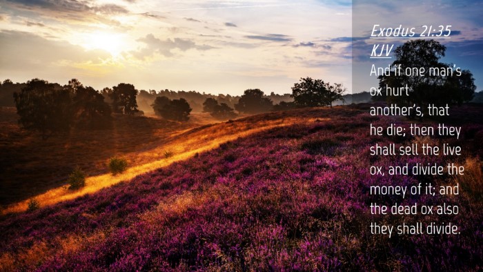 Picture 04 - Exodus 21:35 KJV Desktop Wallpaper - And if one man's ox hurt another's, that he die; - Desktop Bible Verse Wallpaper