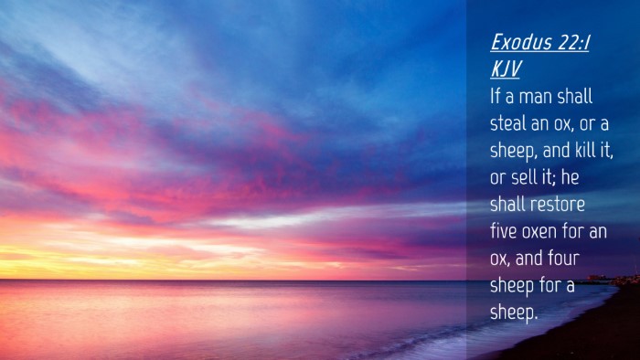 Picture 04 - Exodus 22:1 KJV Desktop Wallpaper - If a man shall steal an ox, or a sheep, and kill - Desktop Bible Verse Wallpaper