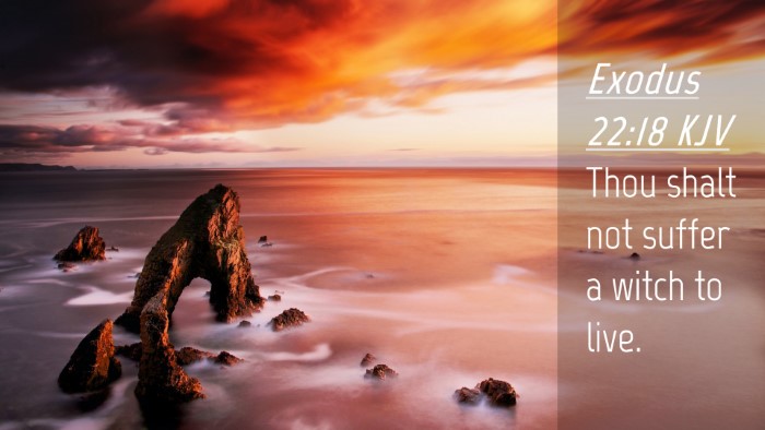 Picture 04 - Exodus 22:18 KJV Desktop Wallpaper - Thou shalt not suffer a witch to - Desktop Bible Verse Wallpaper