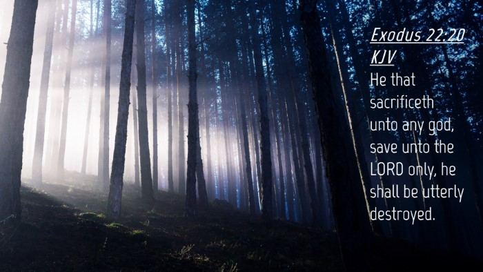 Picture 04 - Exodus 22:20 KJV Desktop Wallpaper - He that sacrificeth unto any god, save unto the - Desktop Bible Verse Wallpaper