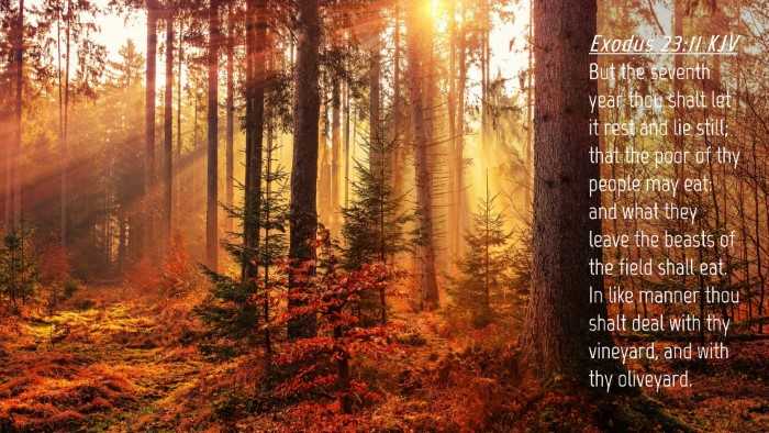 Picture 04 - Exodus 23:11 KJV Desktop Wallpaper - But the seventh year thou shalt let it rest and - Desktop Bible Verse Wallpaper