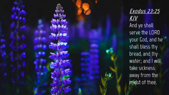 Picture 04 - Exodus 23:25 KJV Desktop Wallpaper - And ye shall serve the LORD your God, and he - Desktop Bible Verse Wallpaper