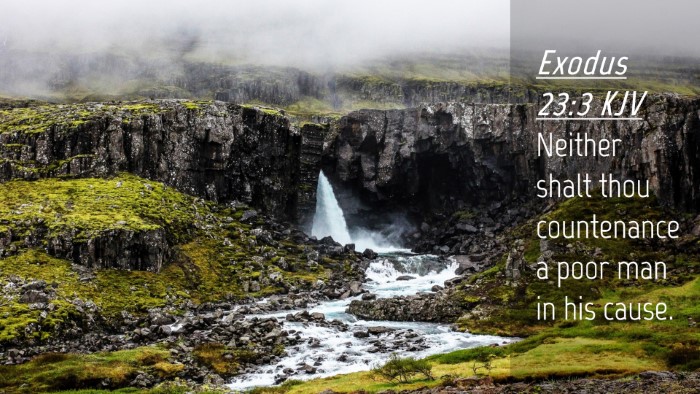 Picture 04 - Exodus 23:3 KJV Desktop Wallpaper - Neither shalt thou countenance a poor man in his - Desktop Bible Verse Wallpaper