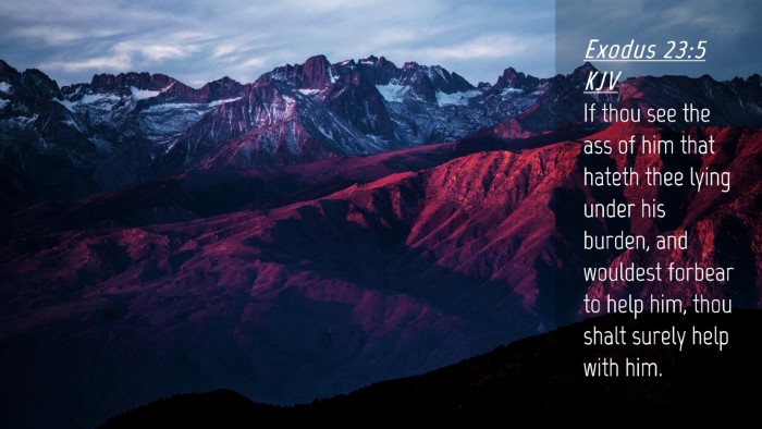 Picture 04 - Exodus 23:5 KJV Desktop Wallpaper - If thou see the ass of him that hateth thee lying - Desktop Bible Verse Wallpaper