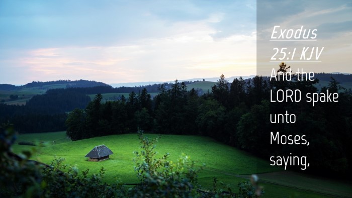 Picture 04 - Exodus 25:1 KJV Desktop Wallpaper - And the LORD spake unto Moses, - Desktop Bible Verse Wallpaper