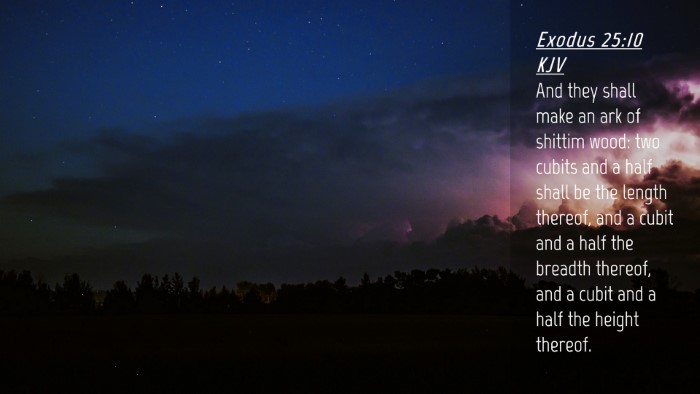 Picture 04 - Exodus 25:10 KJV Desktop Wallpaper - And they shall make an ark of shittim wood: two - Desktop Bible Verse Wallpaper