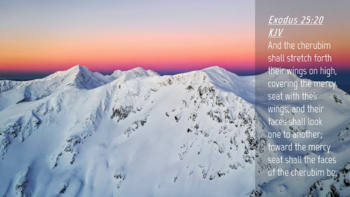 Picture 04 - Exodus 25:20 KJV Desktop Wallpaper - And the cherubim shall stretch forth their wings - Desktop Bible Verse Wallpaper