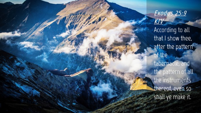Picture 04 - Exodus 25:9 KJV Desktop Wallpaper - According to all that I show thee, after the - Desktop Bible Verse Wallpaper