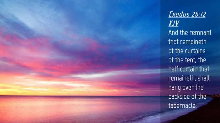 Picture 04 - Exodus 26:12 KJV Desktop Wallpaper - And the remnant that remaineth of the curtains of - Desktop Bible Verse Wallpaper