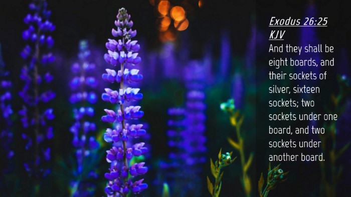 Picture 04 - Exodus 26:25 KJV Desktop Wallpaper - And they shall be eight boards, and their sockets - Desktop Bible Verse Wallpaper