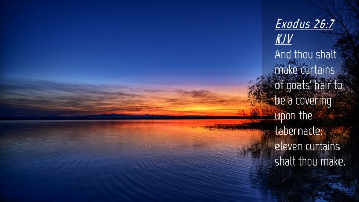 Picture 04 - Exodus 26:7 KJV Desktop Wallpaper - And thou shalt make curtains of goats' hair to be - Desktop Bible Verse Wallpaper
