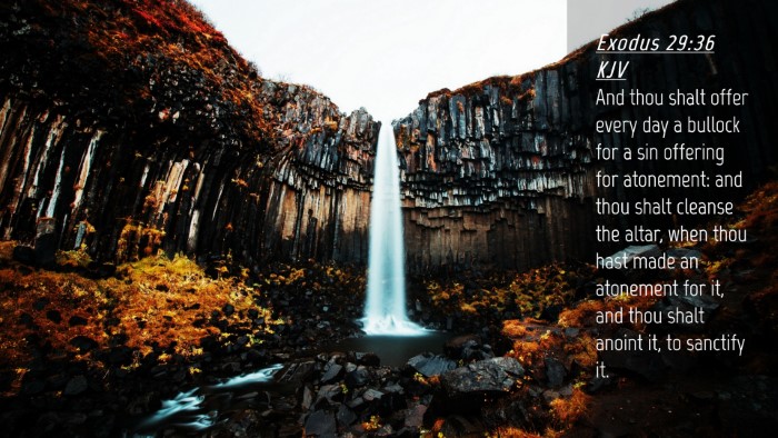 Picture 04 - Exodus 29:36 KJV Desktop Wallpaper - And thou shalt offer every day a bullock for a - Desktop Bible Verse Wallpaper