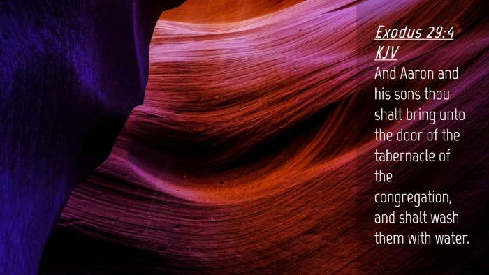 Picture 04 - Exodus 29:4 KJV Desktop Wallpaper - And Aaron and his sons thou shalt bring unto the - Desktop Bible Verse Wallpaper