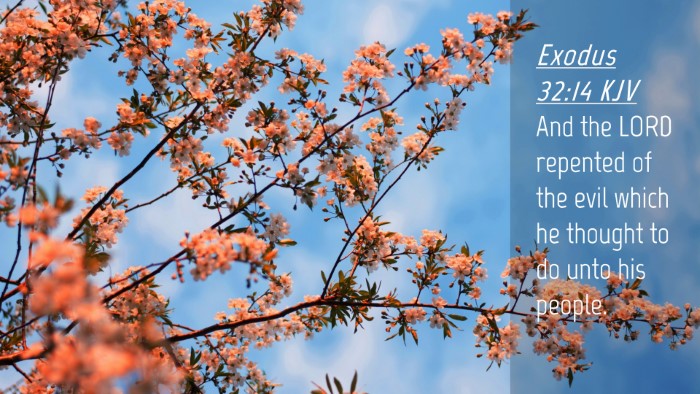Picture 04 - Exodus 32:14 KJV Desktop Wallpaper - And the LORD repented of the evil which he - Desktop Bible Verse Wallpaper