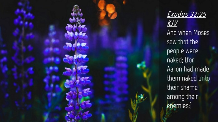 Picture 04 - Exodus 32:25 KJV Desktop Wallpaper - And when Moses saw that the people were naked; - Desktop Bible Verse Wallpaper