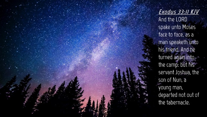 Picture 04 - Exodus 33:11 KJV Desktop Wallpaper - And the LORD spake unto Moses face to face, as a - Desktop Bible Verse Wallpaper