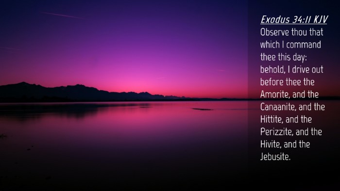Picture 04 - Exodus 34:11 KJV Desktop Wallpaper - Observe thou that which I command thee this day: - Desktop Bible Verse Wallpaper