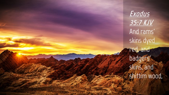Picture 04 - Exodus 35:7 KJV Desktop Wallpaper - And rams' skins dyed red, and badgers' skins, and - Desktop Bible Verse Wallpaper