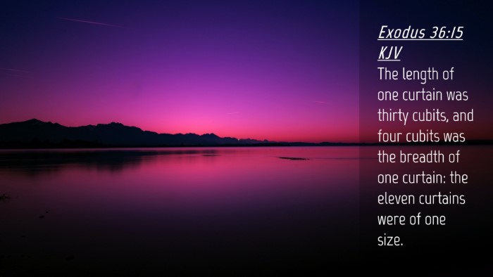 Picture 04 - Exodus 36:15 KJV Desktop Wallpaper - The length of one curtain was thirty cubits, and - Desktop Bible Verse Wallpaper