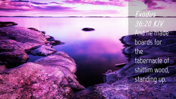 Picture 04 - Exodus 36:20 KJV Desktop Wallpaper - And he made boards for the tabernacle of shittim - Desktop Bible Verse Wallpaper