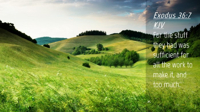 Picture 04 - Exodus 36:7 KJV Desktop Wallpaper - For the stuff they had was sufficient for all the - Desktop Bible Verse Wallpaper