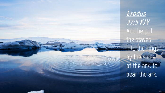 Picture 04 - Exodus 37:5 KJV Desktop Wallpaper - And he put the staves into the rings by the sides - Desktop Bible Verse Wallpaper