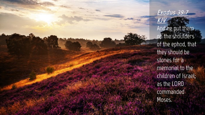 Picture 04 - Exodus 39:7 KJV Desktop Wallpaper - And he put them on the shoulders of the ephod, - Desktop Bible Verse Wallpaper