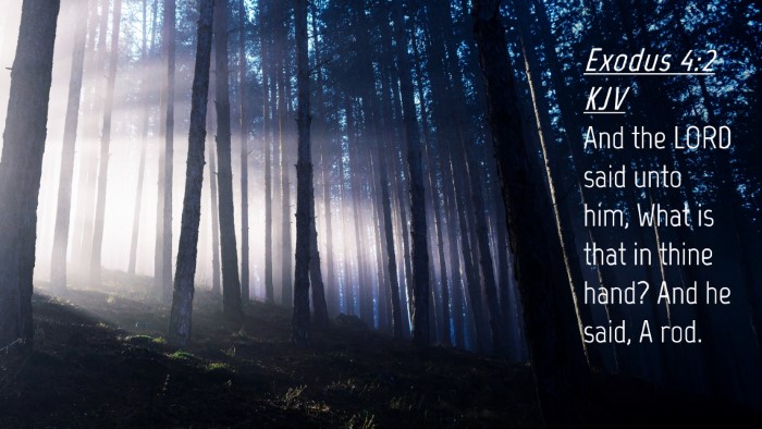 Picture 04 - Exodus 4:2 KJV Desktop Wallpaper - And the LORD said unto him, What is that in thine - Desktop Bible Verse Wallpaper
