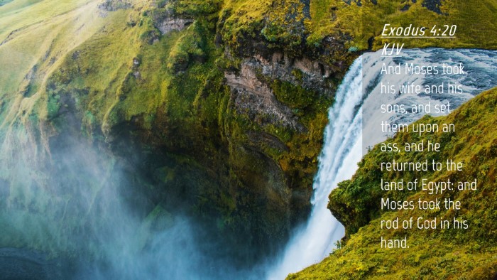 Picture 04 - Exodus 4:20 KJV Desktop Wallpaper - And Moses took his wife and his sons, and set - Desktop Bible Verse Wallpaper