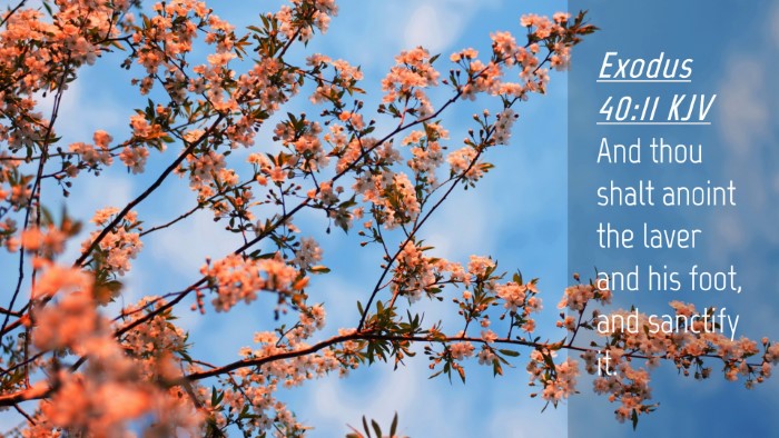 Picture 04 - Exodus 40:11 KJV Desktop Wallpaper - And thou shalt anoint the laver and his foot, and - Desktop Bible Verse Wallpaper