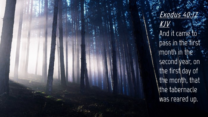Picture 04 - Exodus 40:17 KJV Desktop Wallpaper - And it came to pass in the first month in the - Desktop Bible Verse Wallpaper