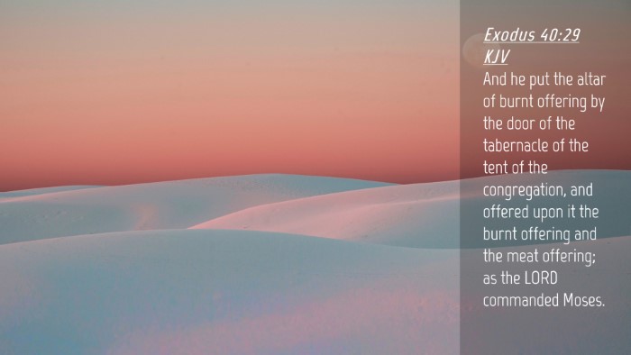 Picture 04 - Exodus 40:29 KJV Desktop Wallpaper - And he put the altar of burnt offering by the - Desktop Bible Verse Wallpaper
