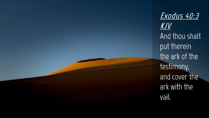 Picture 04 - Exodus 40:3 KJV Desktop Wallpaper - And thou shalt put therein the ark of the - Desktop Bible Verse Wallpaper