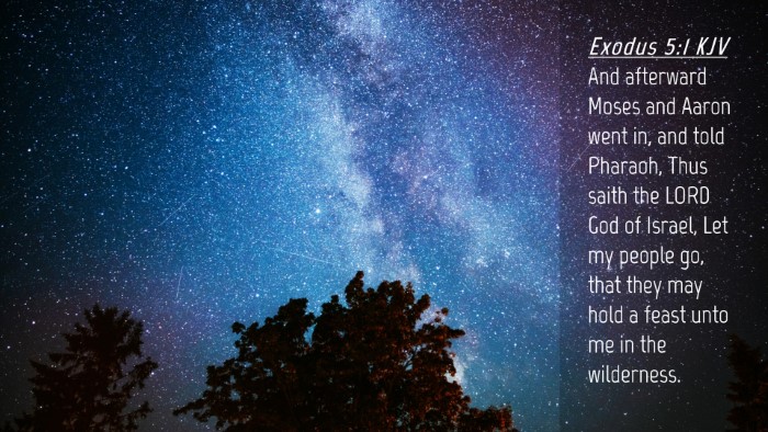Picture 04 - Exodus 5:1 KJV Desktop Wallpaper - And afterward Moses and Aaron went in, and told - Desktop Bible Verse Wallpaper