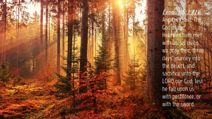 Picture 04 - Exodus 5:3 KJV Desktop Wallpaper - And they said, The God of the Hebrews hath met - Desktop Bible Verse Wallpaper