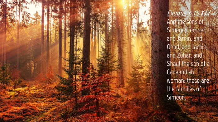 Picture 04 - Exodus 6:15 KJV Desktop Wallpaper - And the sons of Simeon; Jemuel, and Jamin, and - Desktop Bible Verse Wallpaper
